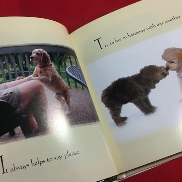 What Dogs Teach Us II Coffee Table Book - Picture 3 of 7